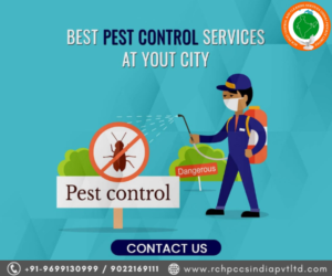 Rashtriya Chemical & Herbal Pest Control Service: Controlling Pests the Sustainable Way rchpestcontrol