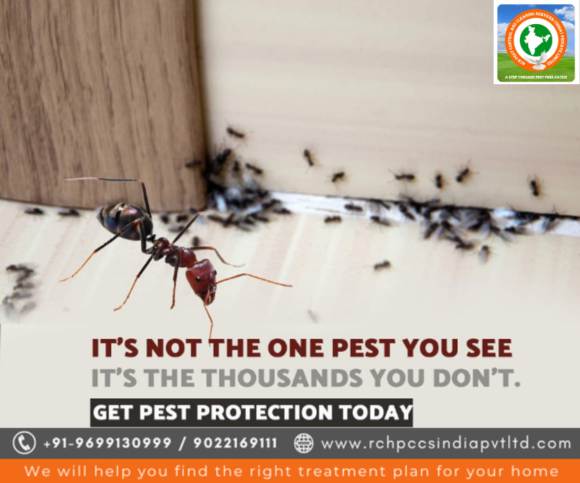 Rashtriya Chemical & Herbal Pest Control Service: Controlling Pests the Sustainable Way rchpestcontrol