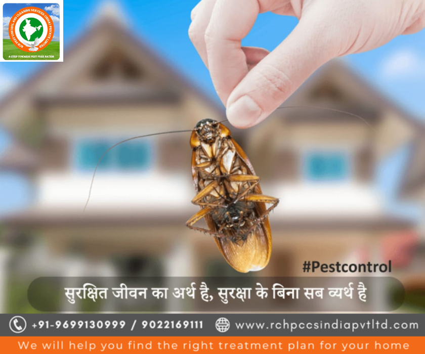 Rashtriya Chemical & Herbal Pest Control Service: Controlling Pests the Sustainable Way rchpestcontrol