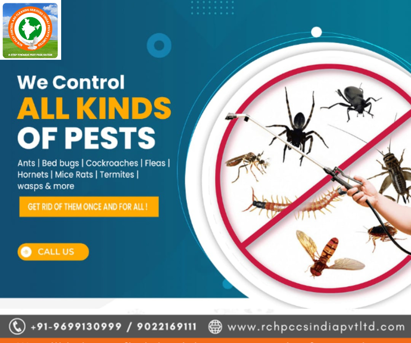 Rashtriya Chemical & Herbal Pest Control Service: Controlling Pests the Sustainable Way rchpestcontrol