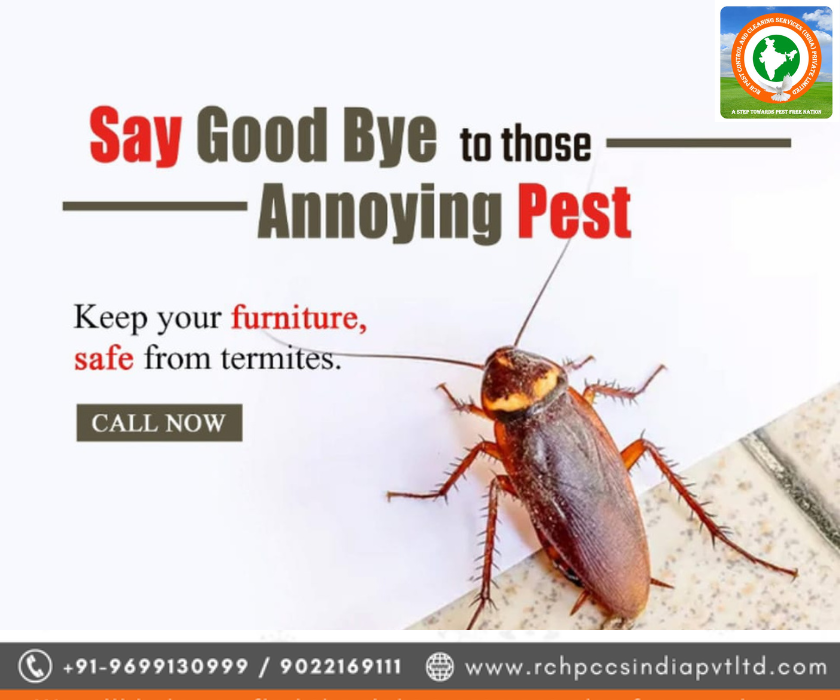 Rashtriya Chemical & Herbal Pest Control Service: Controlling Pests the Sustainable Way rchpestcontrol